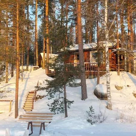 Lumous Forest Hut, Luontovire