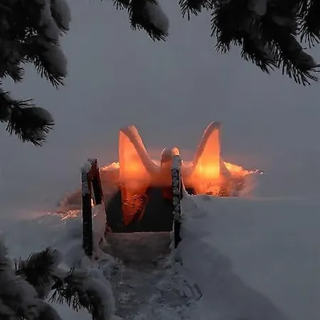 Chalet Lumous Forest Hut, Luontovire Hankasalmi