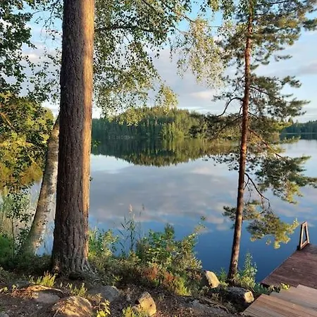 Chalet Lumous Forest Hut, Luontovire