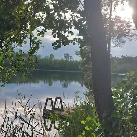 Σαλέ Lumous Forest Hut, Luontovire Hankasalmi