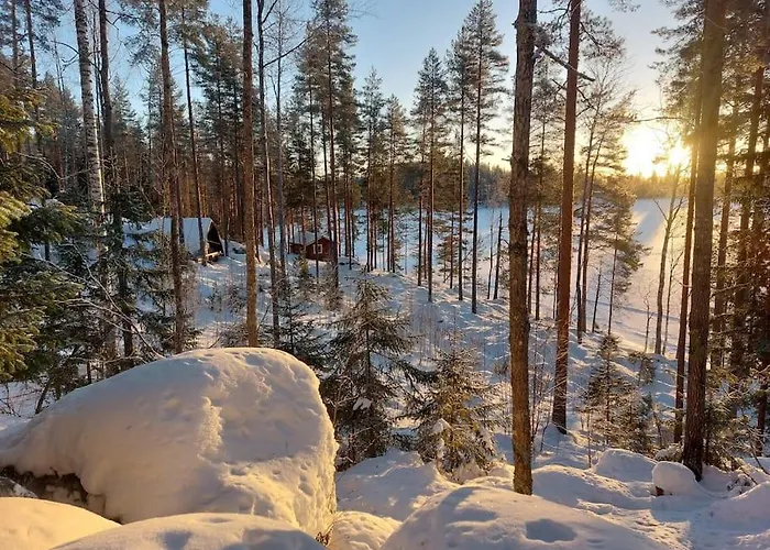 Lumous Forest Hut, Luontovire 샬레 *